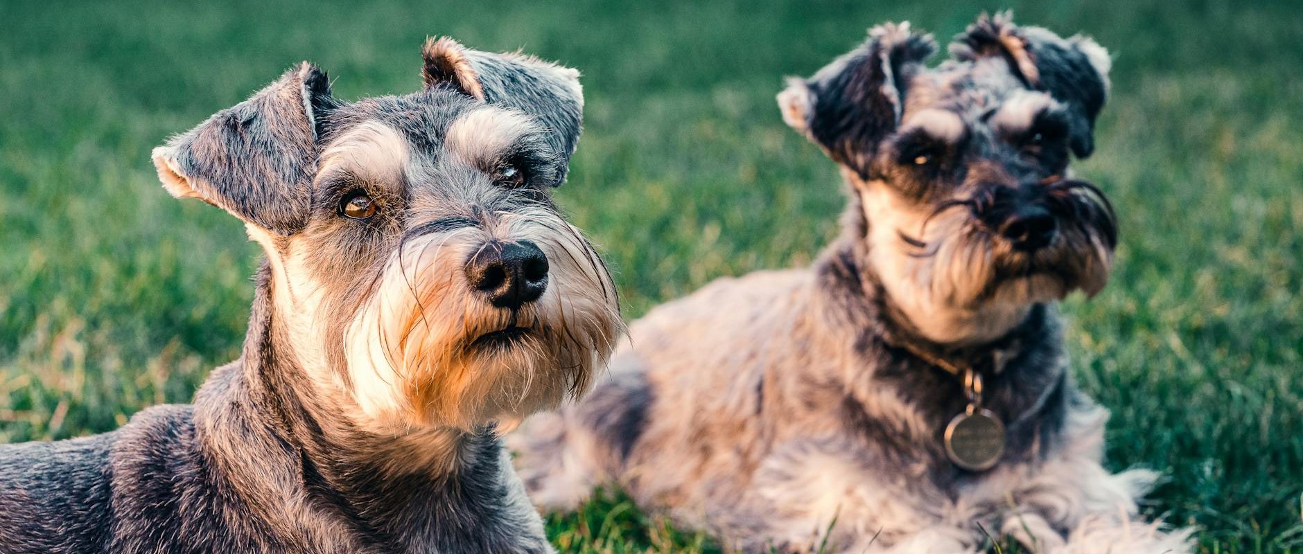 📊 Power BI — Función CALCULATE()