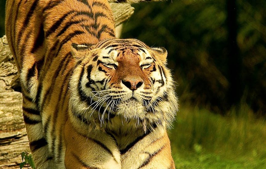 🟦 Power Apps (Model-Driven Apps) — Vistas de Sistema y Vistas Personales