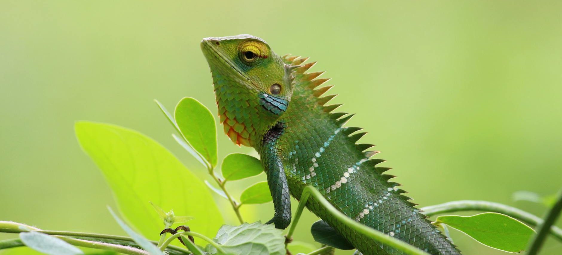 📄 Power Automate + AI Builder: Automatizando la Extracción de Datos