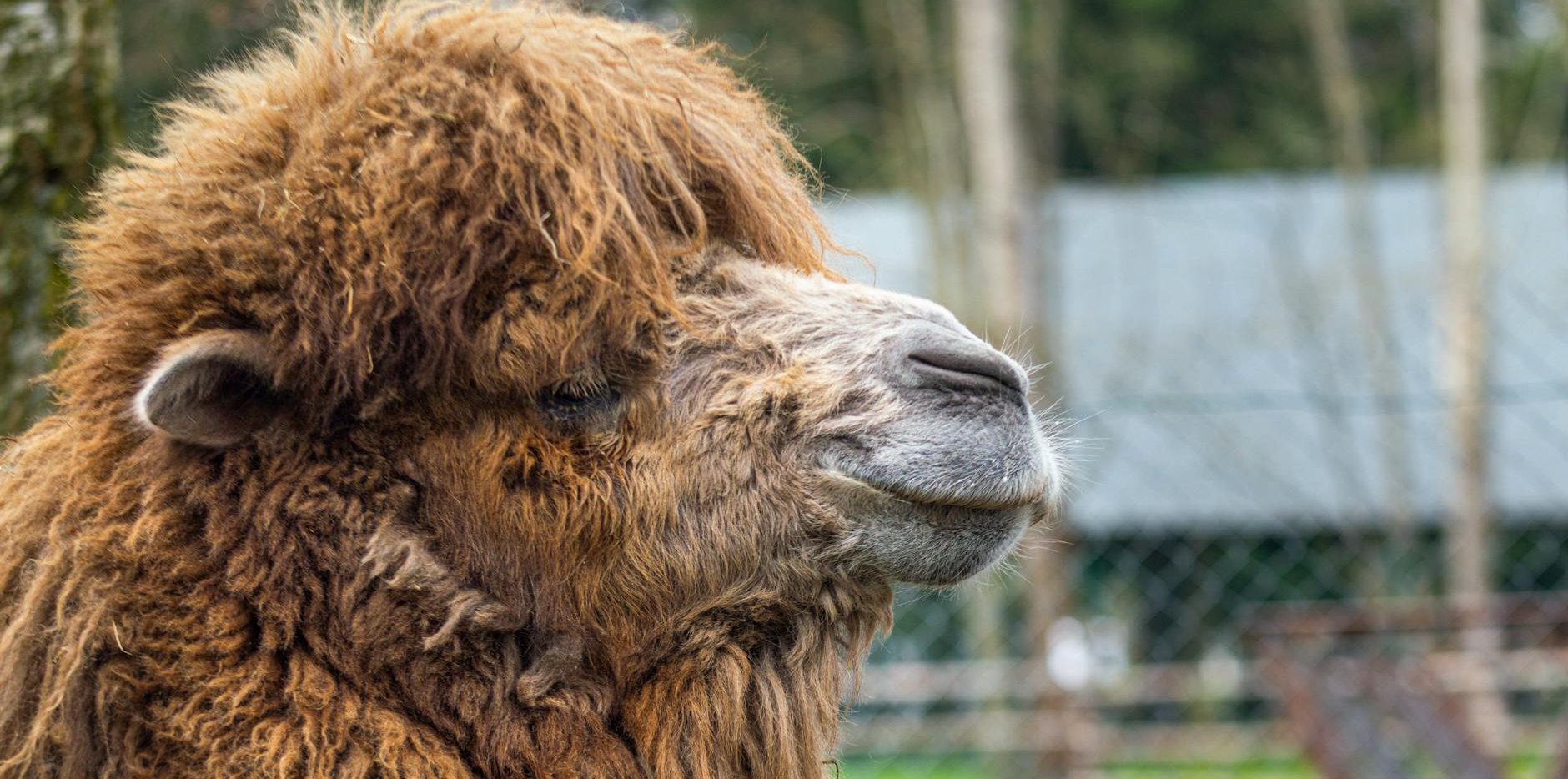 🤖 Copilot Studio: Domina las Entidades y el «Slot Filling» para Conversaciones Naturales