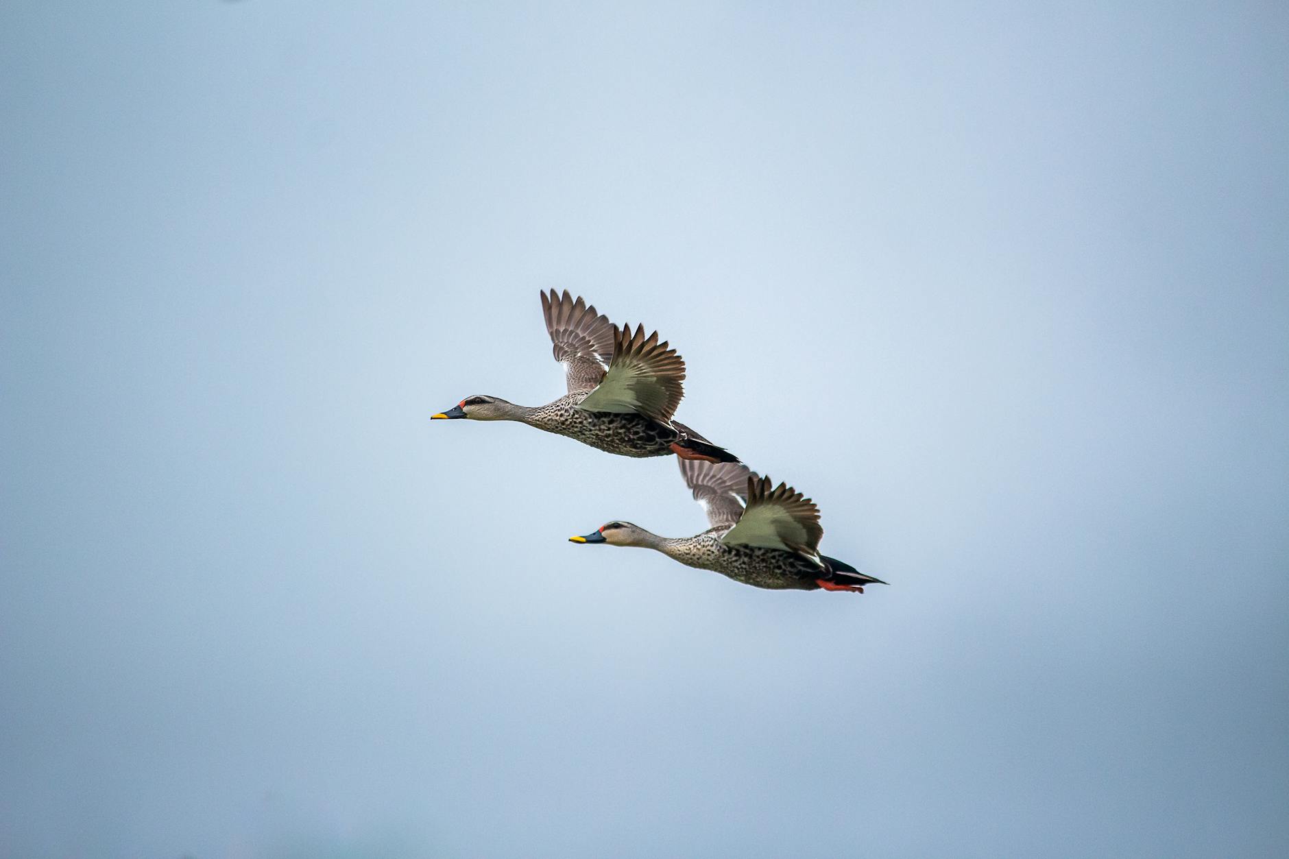 Funciones de Power Automate – Referencia